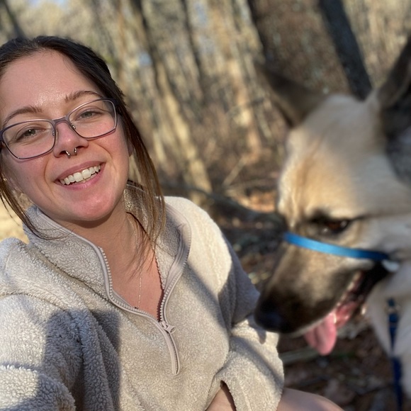 Meet your Posher, Faolan - Picture 1 of 1